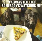 1642401239167.png