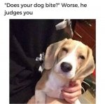FB_IMG_1643315822579.jpg