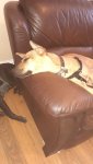 20220131_131053.jpg