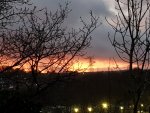 20220201_171827.jpg