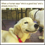 1644474180581.png