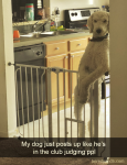1645079128726.png