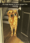 1645338602501.png