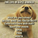 1645426530795.png