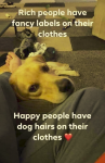 1645597662259.png