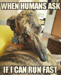 1645770443230.png