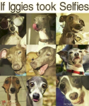 1646547099120.png