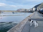 5D317434-C75D-4400-97A5-11E2FDFF2D4D.jpeg