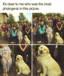 1647066694754.png