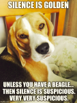 1647152661176.png