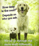 1647843940512.png