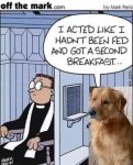 FB_IMG_1648095897393.jpg