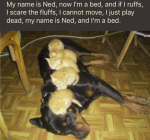 1648615924374.png