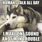 1649484426555.png