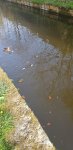 20220422_084441.jpg