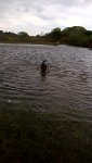 1650737382007.jpeg