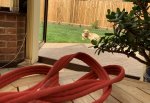 5B004929-0E30-46C2-913D-491834602A0E.jpeg