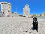 IMG_2655.jpg