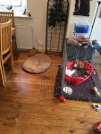 E0742247-7A79-45AF-A1BD-05FD6844450A.jpeg