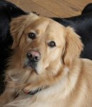 0F2E5D79-4680-4D9C-BDF0-0267CD151207.jpeg 0F2E5D79-4680-4D9C-BDF0-0267CD151207.jpeg