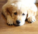 3E228B4E-1F30-4427-A8BC-CF7186A8E160.jpeg 3E228B4E-1F30-4427-A8BC-CF7186A8E160.jpeg