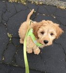 0489E8D7-EA80-49B0-B5D0-D8626D0280ED.jpeg 0489E8D7-EA80-49B0-B5D0-D8626D0280ED.jpeg