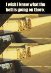 1660107161812.png