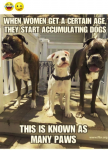 1660364757858.png