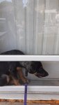 20220815_093216.jpg