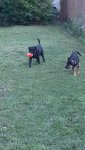 20220815_185819.jpg