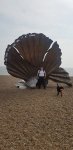 20220817_105027.jpg