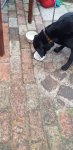 20220817_113304.jpg