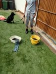 IMG-20220818-WA0002.jpg