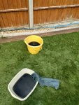 IMG-20220818-WA0000.jpg