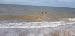20220819_171201.jpg