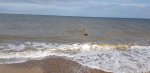 20220819_171214.jpg
