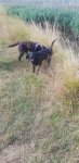 20220819_105815.jpg