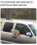 1661923272041.png