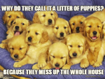 1664082097513.png
