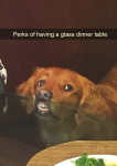 1664255167145.png