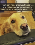 1664341925891.png