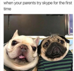 1664444652560.png