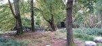 20221006_110109.jpg