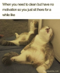 1665552812080.png