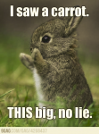 1665724651618.png