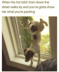1666243838163.png