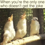 1666329941722.png