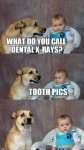 FB_IMG_1666348345554.jpg