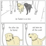 FB_IMG_1667335204175.jpg