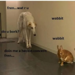 1668409328492.png